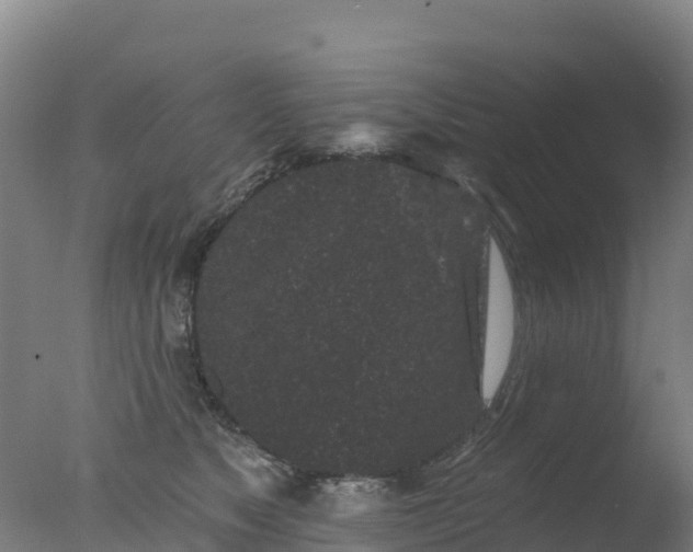 X0000077350517200610271832