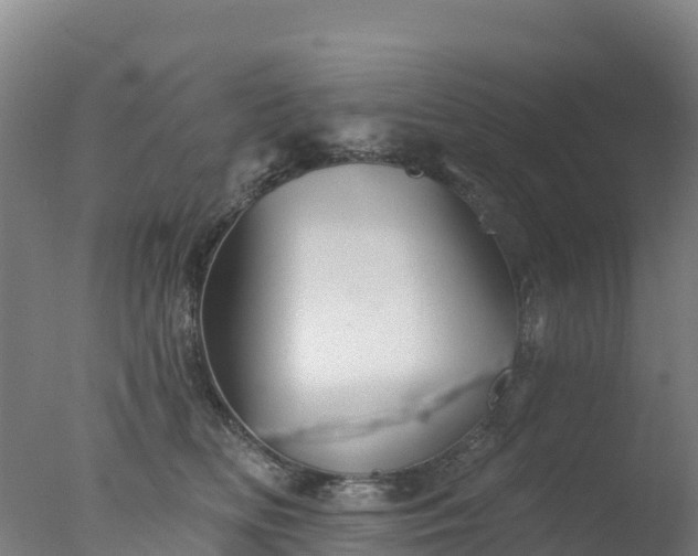 X0000077350518200610271831