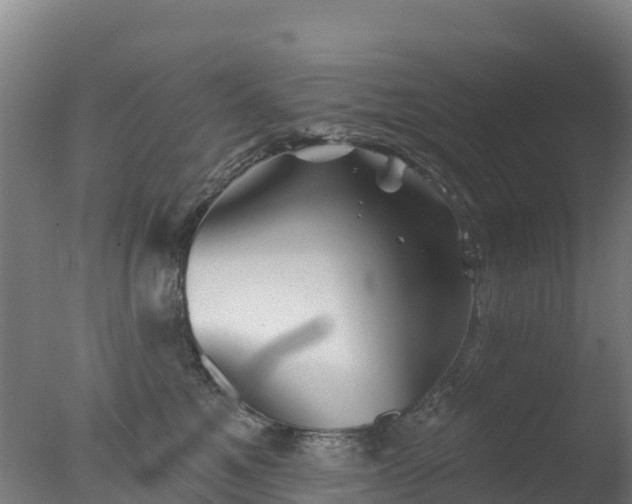 X0000077350521200610271831