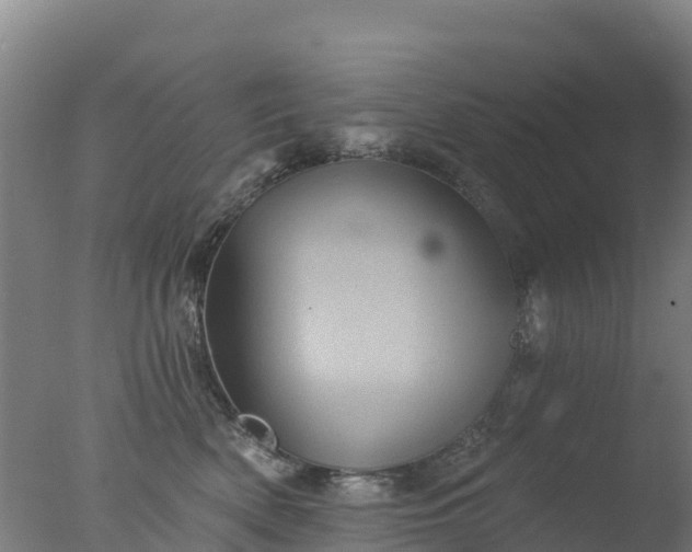 X0000077350522200610271831