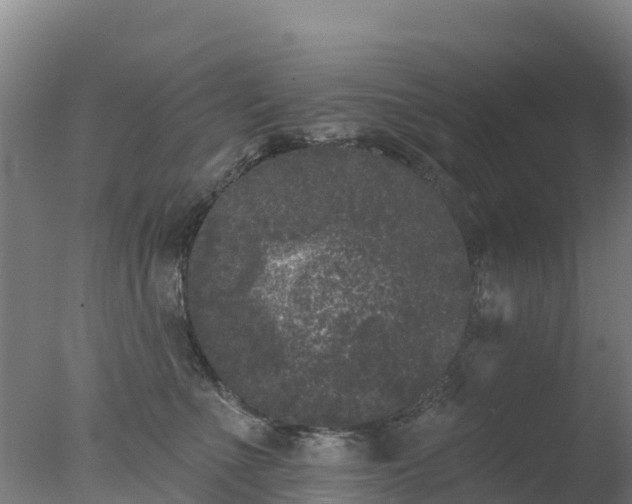 X0000077350523200610271831