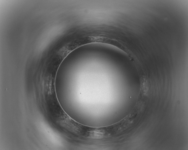 X0000077350525200610271831