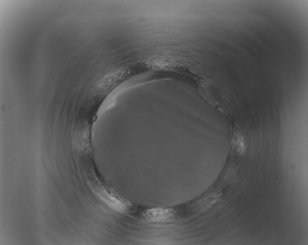 X0000077350526200610271831