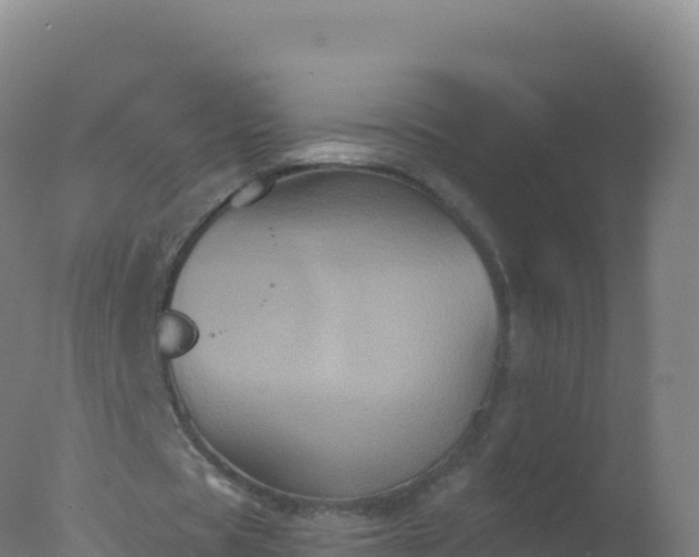 X0000077350529200610271830