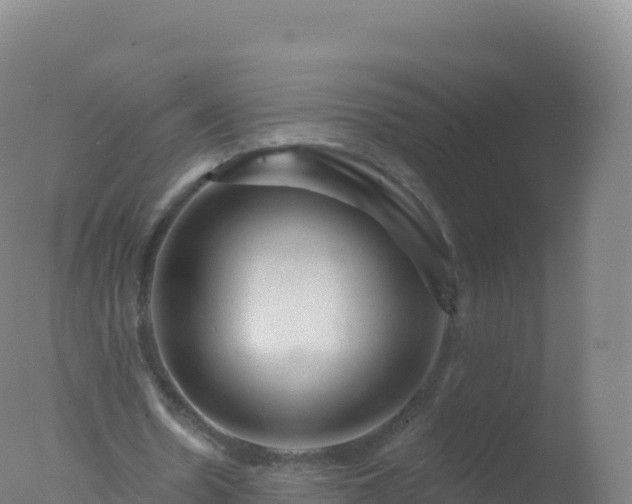 X0000077350530200610271831