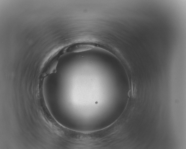 X0000077350531200610271831