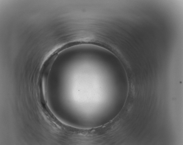 X0000077350532200610271831