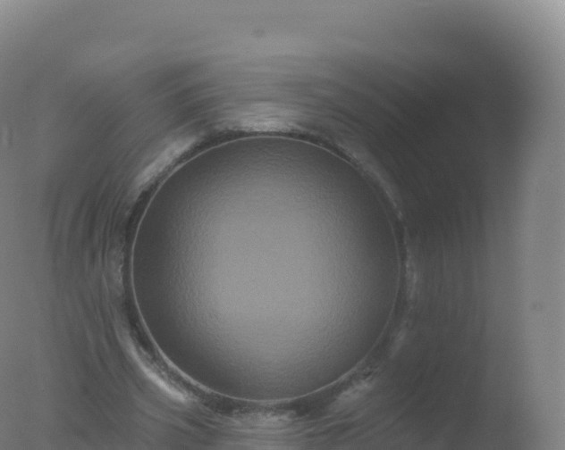 X0000077350533200610271831