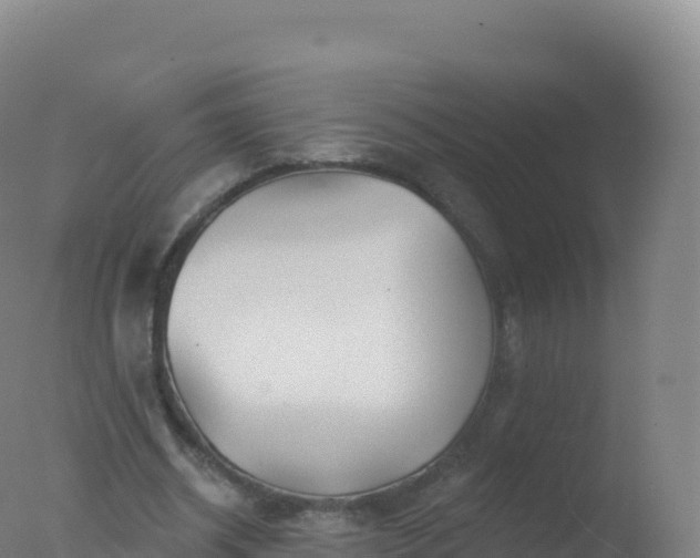 X0000077350534200610271831