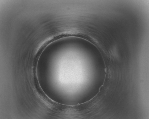 X0000077350535200610271831