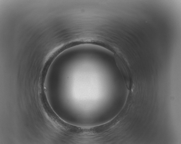 X0000077350536200610271831