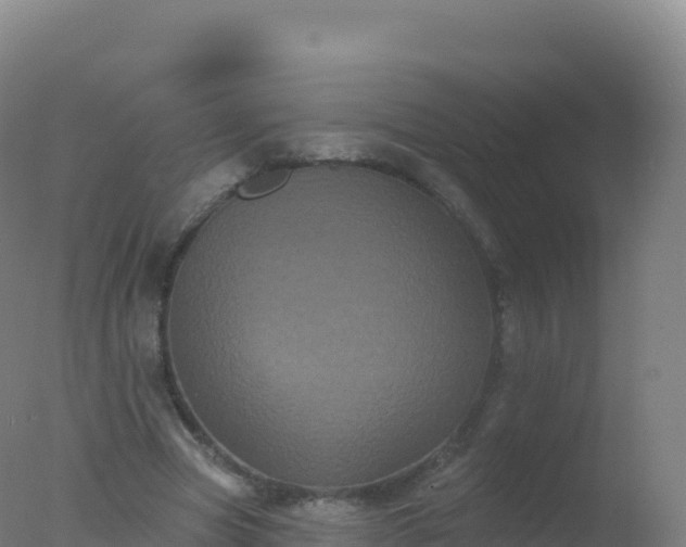 X0000077350537200610271831