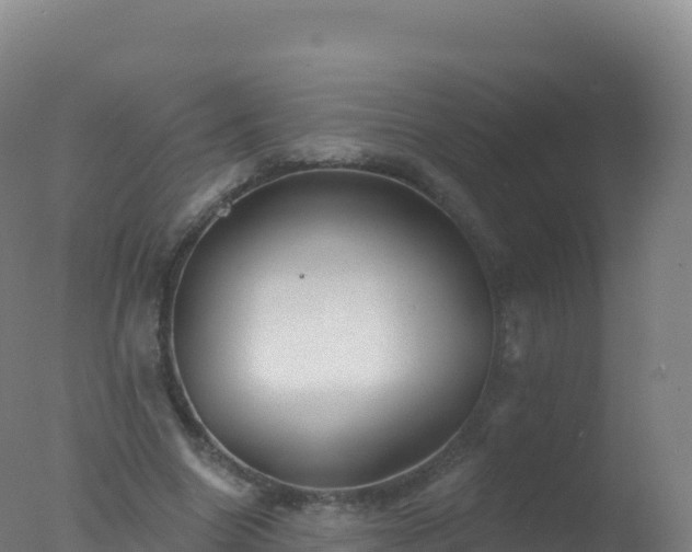 X0000077350538200610271831