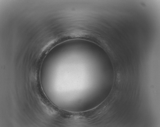 X0000077350539200610271831