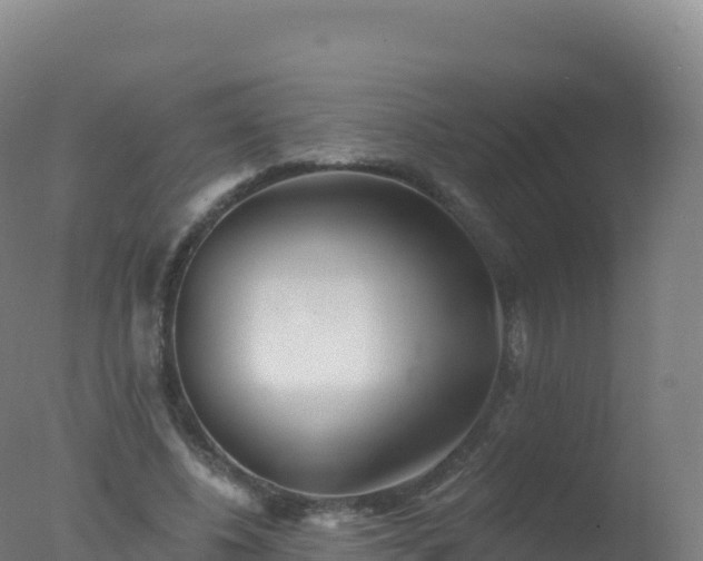 X0000077350540200610271831