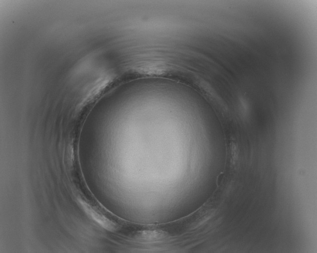 X0000077350541200610271831