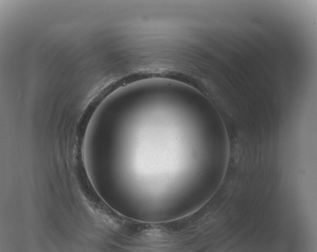 X0000077350544200610271831