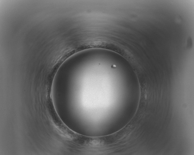 X0000077350546200610271831