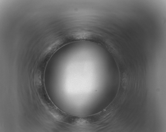 X0000077350547200610271831