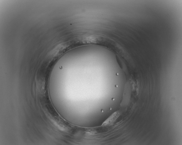 X0000077350548200610271831