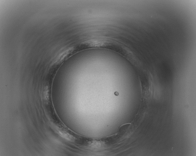 X0000077350549200610271831