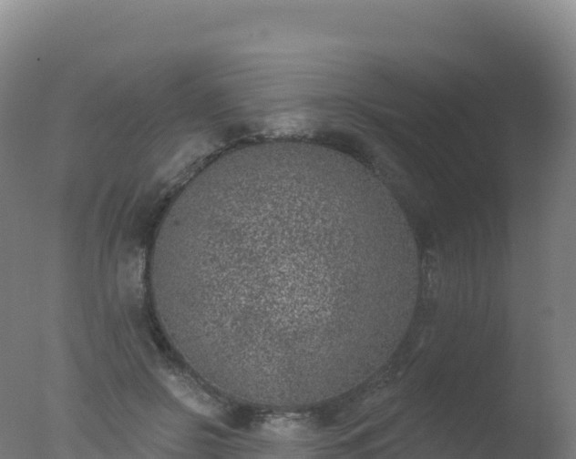 X0000077350550200610271831