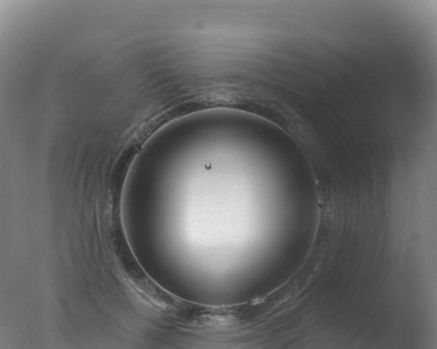 X0000077350552200610271831