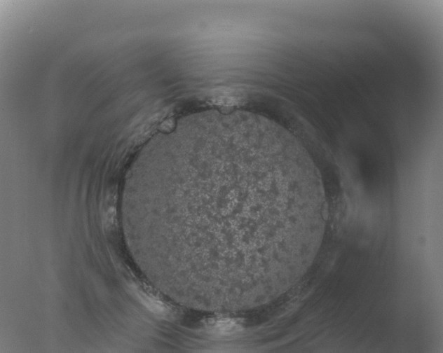 X0000077350553200610271831