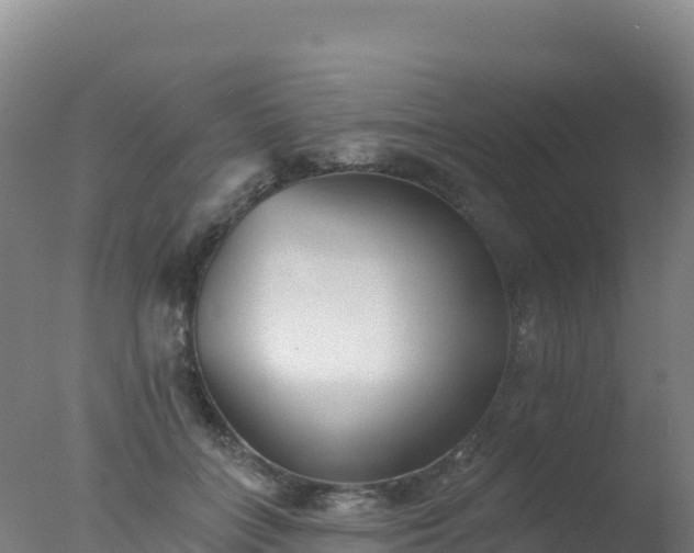 X0000077350555200610271831