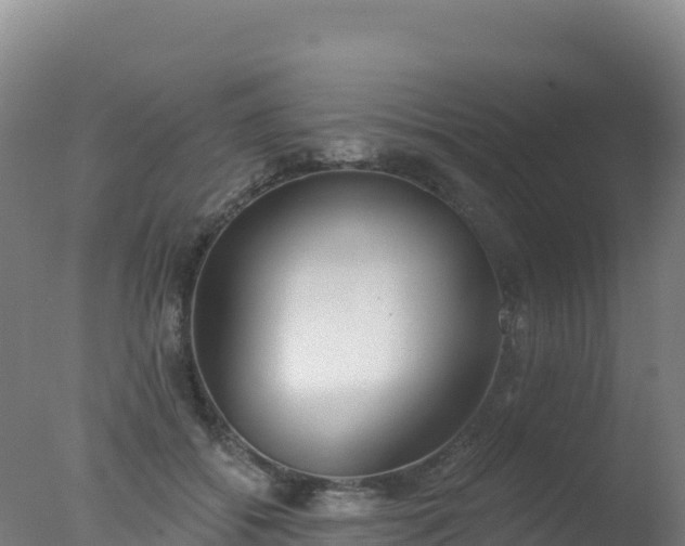 X0000077350556200610271831