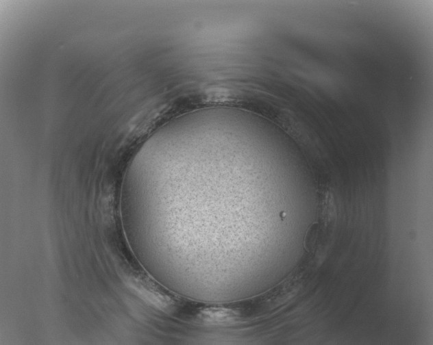 X0000077350557200610271831