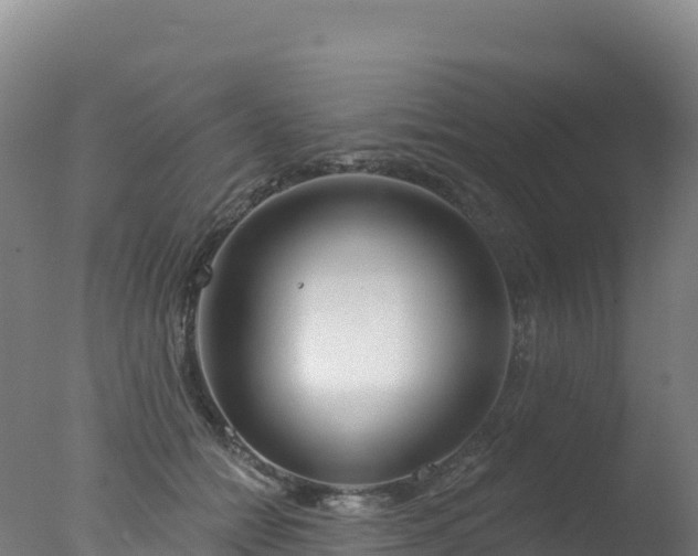 X0000077350558200610271831