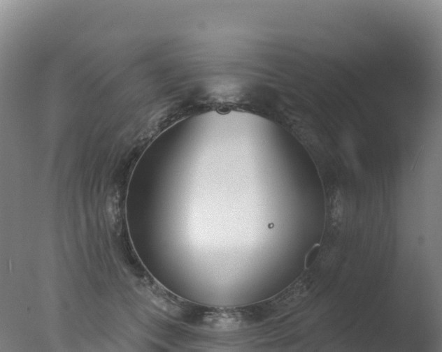 X0000077350559200610271831