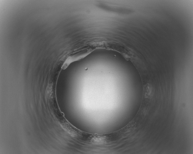 X0000077350560200610271831