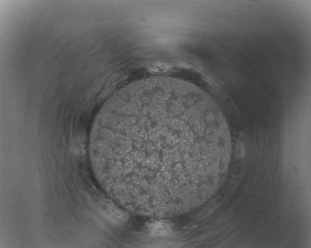 X0000077350561200610271831