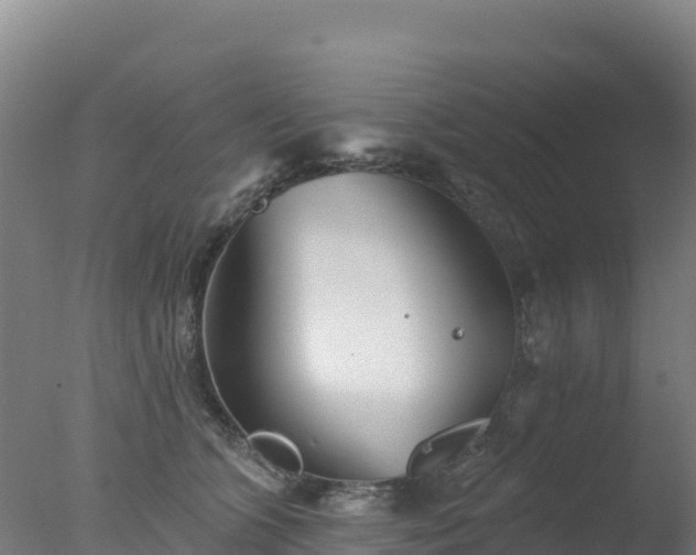 X0000077350563200610271831