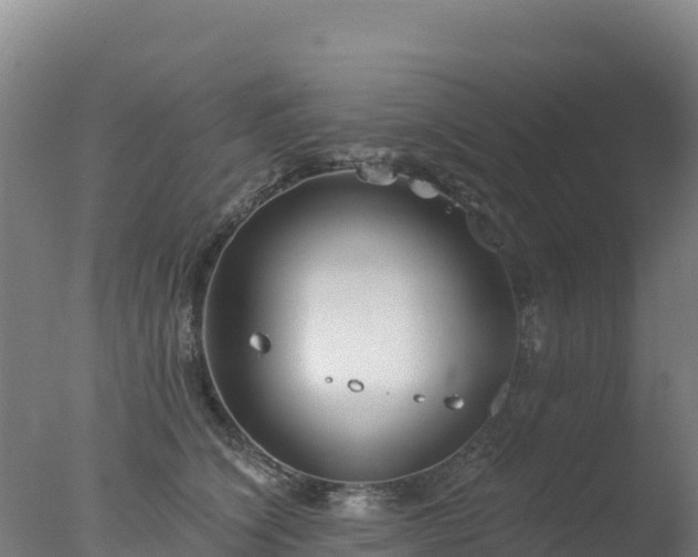 X0000077350564200610271831