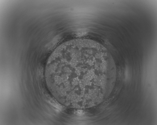 X0000077350565200610271831