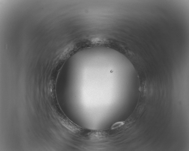 X0000077350567200610271831