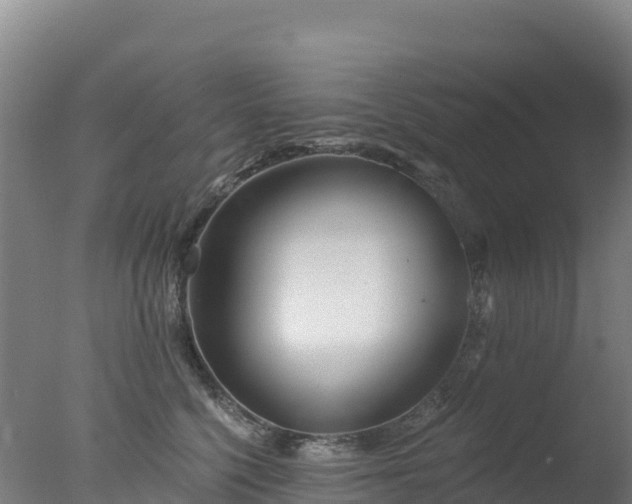 X0000077350568200610271831