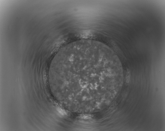 X0000077350569200610271831