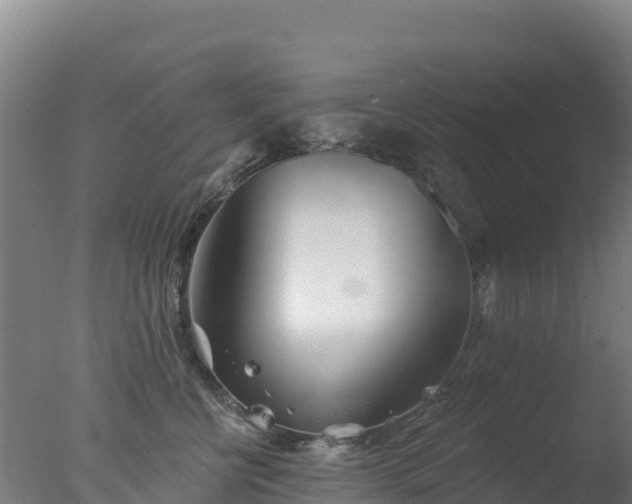 X0000077350570200610271831