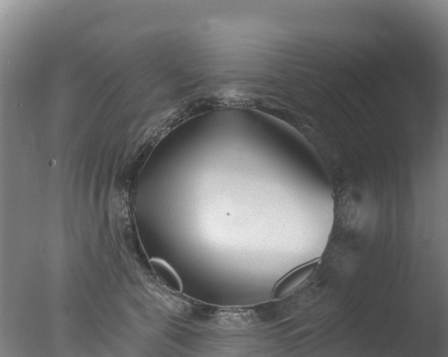 X0000077350571200610271831