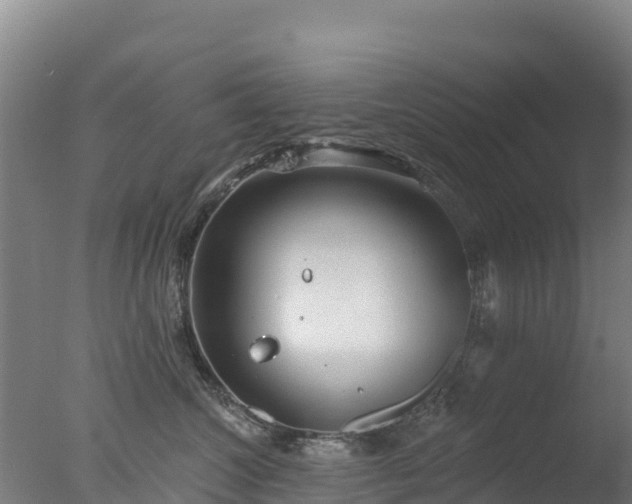 X0000077350572200610271831