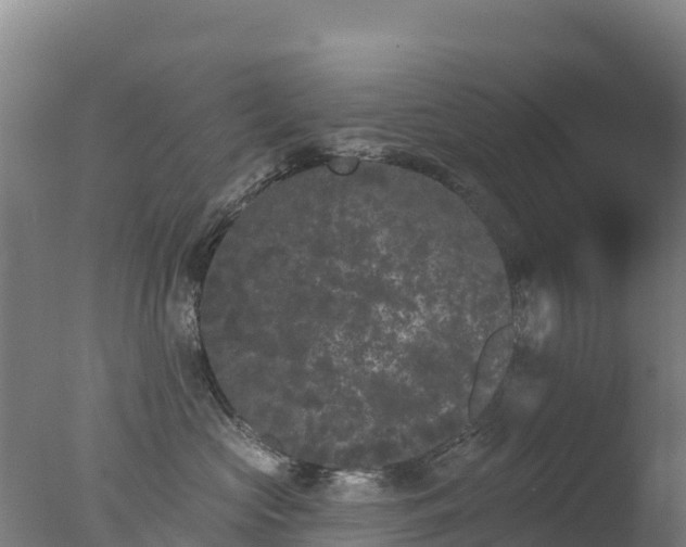 X0000077350573200610271831