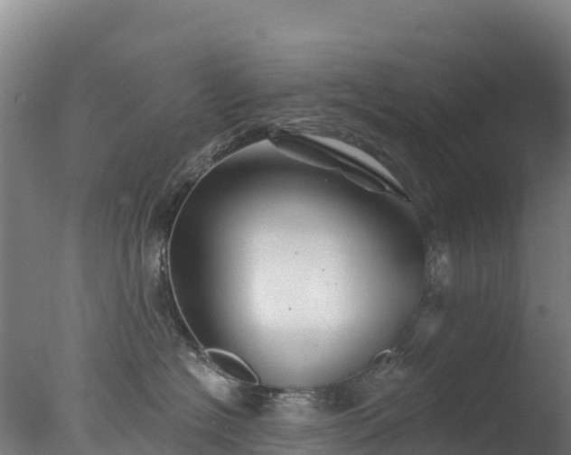 X0000077350574200610271831