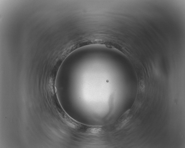 X0000077350575200610271831