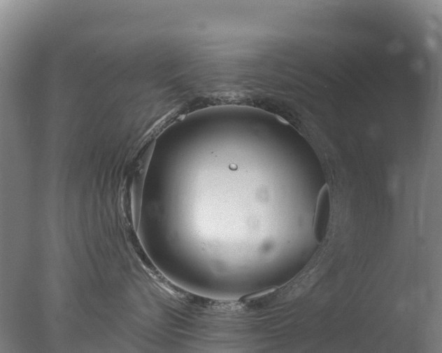 X0000077350576200610271831