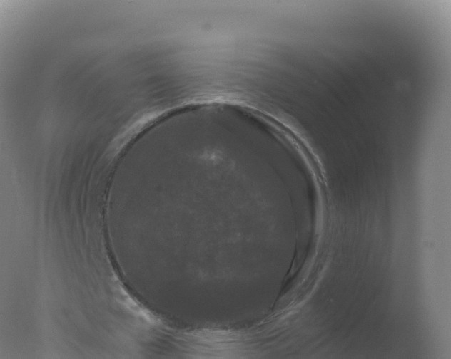 X0000077350577200610271830