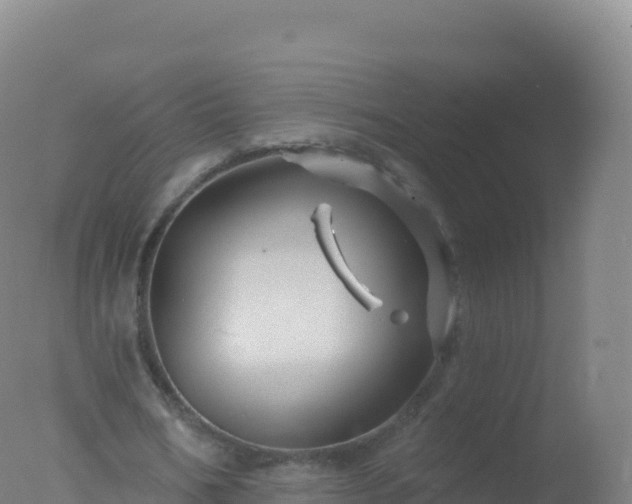 X0000077350578200610271830